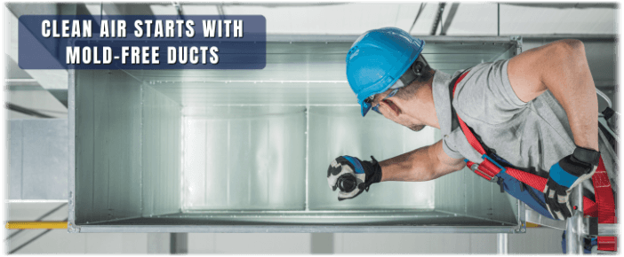 Air Duct Mold Removal in Plantation FL