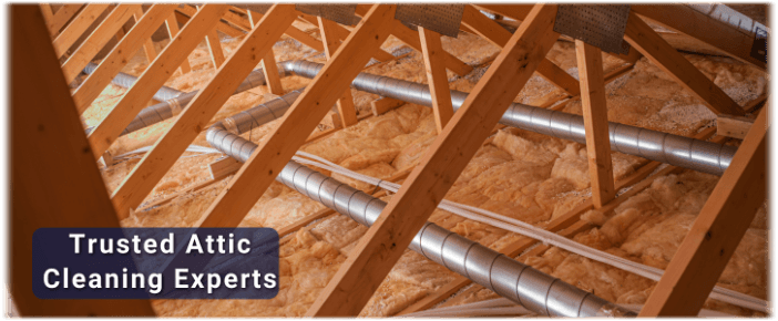 Attic Cleaning Plantation FL